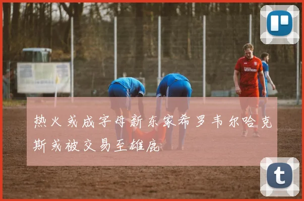 热火或成字母新东家希罗韦尔哈克斯或被交易至雄鹿